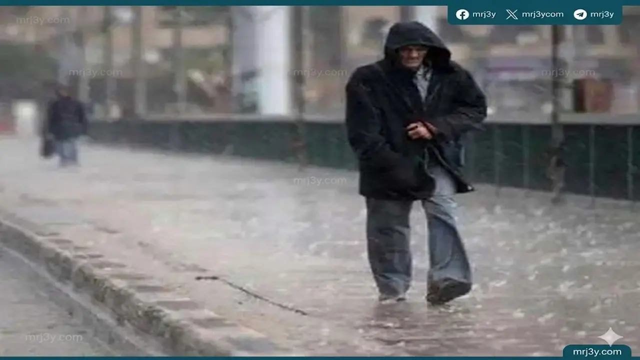 تحذيرات من طقس غير مستقر وأمطار تضرب القاهرة مصحوبة برياح مثيرة للأتربة